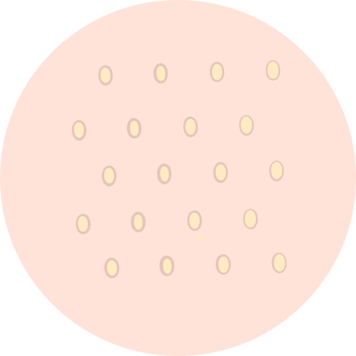 角栓毛穴の画像